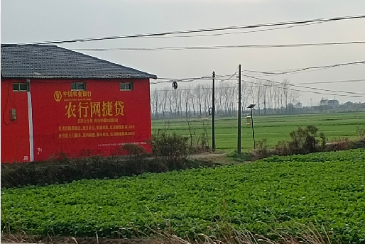 太白如何防止墙体广告褪色呢？