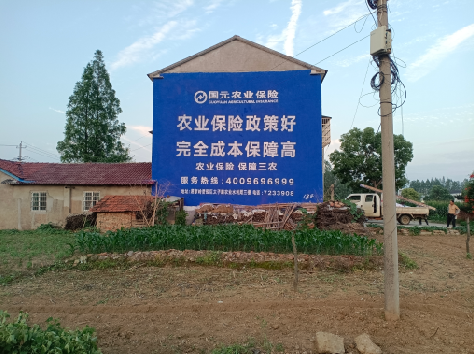 太白墙体广告为何受追捧？